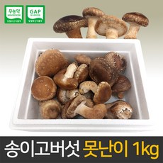 송이고버섯 B급 못난이 버섯 1kg 당일수확 생산자직송, 1개