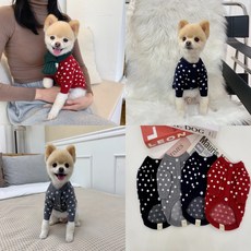 강아지 니트 도트 가디건, 네이비, 1개