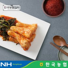 [한국농협김치] 전라도 순천 남도 총각김치 3kg