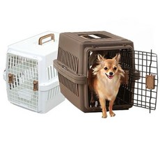 비오는날캐리어