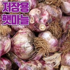 벌마늘-추천-상품