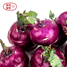 [베스트셀러]참새마켓 특품 제주콜라비, 1개, 5kg