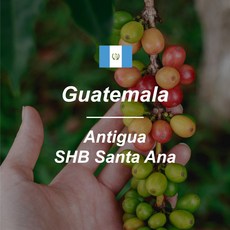 [커피생두] 과테말라 안티구아 SHB 산타 아나 1kg, 1개