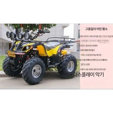 빅불 ATV 4사륜 4륜 산악 비치 해변 오프로드 바이크 오토바이 전기 전동 더블 ATV, 리틀불패키지2