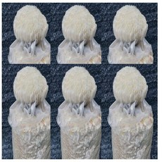 여주근교아이와체험