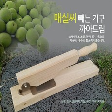 매실씨빼는