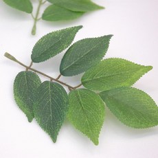 조화 잎사귀 (2종) / 버찌 마운틴 자작잎사귀, A형자작잎, 1개