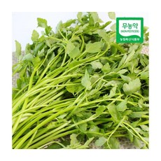 청도특산 무농약재배 한재미나리 1kg, ONE COLOR, ONE SIZE