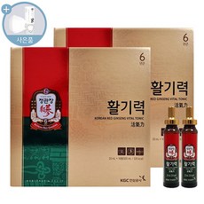 정관장 활기력 6년근 홍삼농축액 + 쇼핑백, 2개, [20ml x 16병]