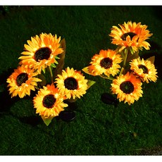 태양광해바라기