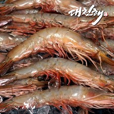 대천해 자연산 대하 1kg(24~29미 내외), 1kg, 1개