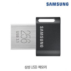 윤성커뮤니케이션 삼성 USB저장장치 MUF-256ABFITPLUS 단자노출형 USB메모리, 1