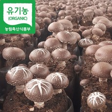 [해담은농장] 유기농 생표고버섯 1kg/4kg 국내산 참나무, 1개, 중품1kg
