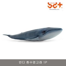 흰수염고래