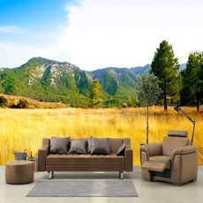 잘떨어지는벽지