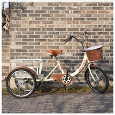 닥터바이크 홍삼자전거 삼륜자전거 세발 보조바퀴 어른용자전거 AGA-0000, 미조립 배송, 블랙