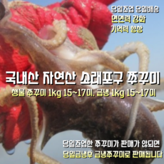 [산지직송] 국내산 자연산 소래포구 새벽조업한 활 쭈꾸미 1kg 15~17미 냉동 1kg 15~17미 냉동 2kg 30~34미 1박스, 당일조업후 급냉 쭈꾸미 1kg 15~17미