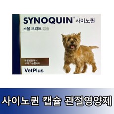 벳플러스 사이노퀸 30캡슐 (소형견용-관절 보호제), 단품, 1개 - 사이노퀸소형견