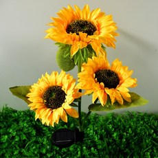 태양광해바라기