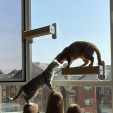 헤라우스점핑 고양이 일광욕 창문 캣타워 투명 해먹 캣워크 캣워커 캣폴, 창문 캣폴 대형, 1개