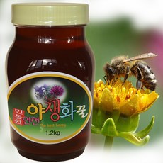 고성꿀다림