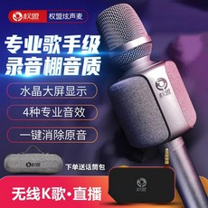 블루투스마이크 마이크 음향일체형 무선블루투스 가정용전 k노래차 매직, T05-표준판(무 U단계)+더우인앱 작은매직기기