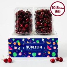 탱글탱글 향긋한 프리미엄 체리 300g*2팩 (총 600g), 2개