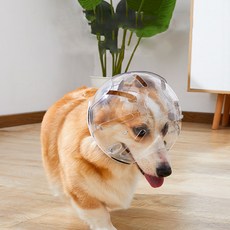 HANTAO 강아지 투명 마스크 반려동물 우주헬멧 물림방지 투명후드 입마개