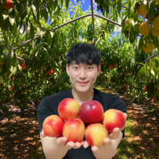 대극천복숭아 TOP01