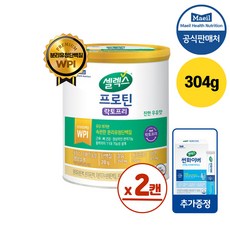 매일유업 셀렉스 코어 프로틴 락토프리+썬화이버스틱10포증정, 304g, 2개