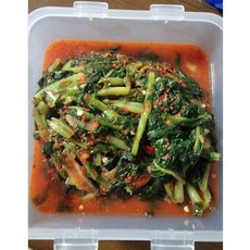 종가집열무김치1kg