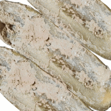 정읍울외장아찌