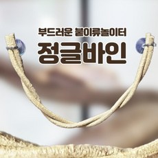정글바인