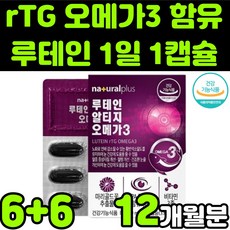 오큐테인플러스