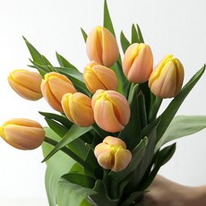 추천10생화택배