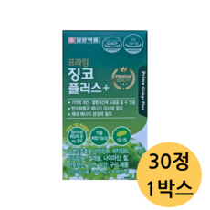 일양약품 프라임 징코 플러스, 1정, 30개