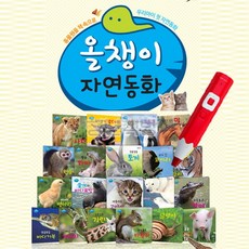 자연실사책