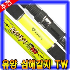 유양갈치대