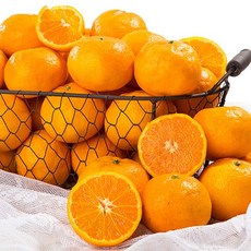 e19406c2f0f7633fbdfb0688b376c8ce059800357fffb49cb13e586e3433.jpg