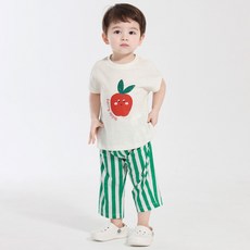 베베드피노 TOP01