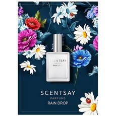 센트세이 레인 드롭 향수(SCENTSAY RAIN DROP PARFUM), 1개, 60ml - 레인향수