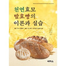 천연발효빵책
