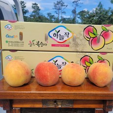  충주 황금알 복숭아 엘바트 양홍장 황도 3kg 2.5kg, 3개, 황도말랑이 