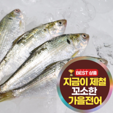 [며느리컴백] 고소함 폭발하는 최상급 가을 전어회 전어 구이 손질 후 무게, 2세트, 300g(세꼬치)