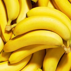 코스트코 프리미엄 바나나 실속형 달콤 고당도 Banana 코스트코 1.36kg 이상 [원산지:과테말라], 1개