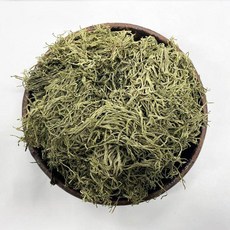 [산정마을] 국내산 완도 청각 건청각 마른청각 500g, 1개