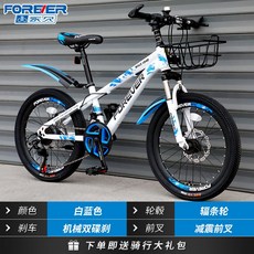 비싼자전거