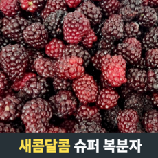 [농장직송] 새콤달콤 슈퍼복분자 급냉 복분자원액 복분자생과 냉동복분자 복분자 토종복분자 복분자냉동생과 김제복분자, 1개, 1kg, 1kg