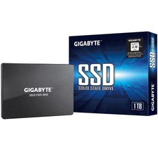 기가바이트 SSD, GP-GSTFS31100TNTD, 1TB