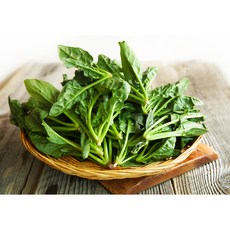 산지플러스 남해 시금치 해풍 맞고 자란 보물초 1kg/농수산, 1개, 1kg